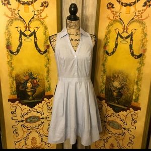 NEW cotton chambray Express Dress